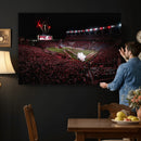 William Brice Stadium Wall Art Print – Baseball Game Room