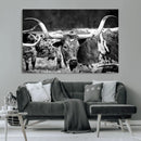 Black & White Longhorn Cattle Wall Art Canvas Print, Rustic by MyGreatCanvas | Canvas Wall Art Prints | Photo Prints & Wall Decor