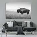 Black White Bison Canvas Wall Art, Rustic American Buffalo by MyGreatCanvas | Canvas Wall Art Prints | Photo Prints & Wall Decor
