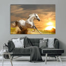 White Horse Running Canvas Sunset Wall Art by MyGreatCanvas | Canvas Wall Art Prints | Photo Prints & Wall Decor