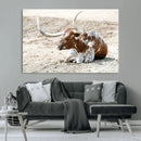 Majestic Longhorn Wall Art Canvas Print – Resting on Sunlit by MyGreatCanvas | Canvas Wall Art Prints | Photo Prints & Wall Decor