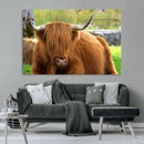 Highland Cow Wall Art, Rustic Farm Animal Canvas Print, Long by MyGreatCanvas | Canvas Wall Art Prints | Photo Prints & Wall Decor