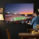 Dooley Stadium Wall Art, Sports Arena Canvas Print, Dooley