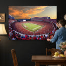 Dooley Stadium Wall Art, Sports Arena Canvas Print, Dooley