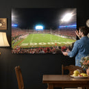 Dooley Stadium Wall Art, Sports Arena Panoramic Canvas