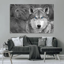 Wild Wolf Blue Eye Wall Art Canvas Print