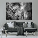 Wild Old Elephant Wall Art Canvas Print