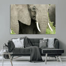Wild Elephant Wall Art Canvas Print by MyGreatCanvas | Canvas Wall Art Prints | Photo Prints & Wall Decor