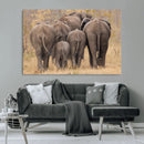 Wild Elephant Wall Art Canvas Print by MyGreatCanvas | Canvas Wall Art Prints | Photo Prints & Wall Decor