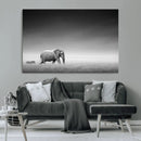 Elephand and Zebra Wall Art Canvas Print, Modern Artwork