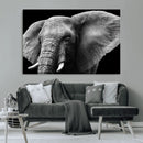 Big Elephant Close Up Wall Art Canvas Print