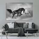 Wild Horses Wall Art Canvas Print – Framed Black and White