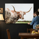 Texas Catle Longhorn Wall Art Canvas Print for Farmhouse by MyGreatCanvas | Canvas Wall Art Prints | Photo Prints & Wall Decor