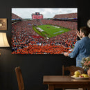 Auburn Stadium Wall Art Canvas Print, Jordan Hare Stadium by MyGreatCanvas | Canvas Wall Art Prints | Photo Prints & Wall Decor