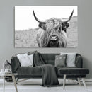 Newfoundland Cow Art Wall Art, Black White Cow Art Wall Art