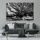 Mighty Angel Oak Wall Art | Angel Oak Tree Art Print by MyGreatCanvas | Canvas Wall Art Prints | Photo Prints & Wall Decor