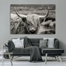 Cow Focus Canvas Wall Art Print by MyGreatCanvas | Canvas Wall Art Prints | Photo Prints & Wall Decor