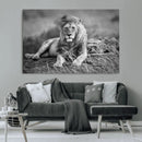 King Forest Lion Wall Art Canvas Print – Framed Majestic by MyGreatCanvas | Canvas Wall Art Prints | Photo Prints & Wall Decor