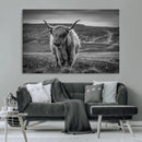 Fluffy Cattle Wall Art Print, Highland Cow Canvas, Framed by MyGreatCanvas | Canvas Wall Art Prints | Photo Prints & Wall Decor