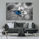Blue Butterfly Black and White Canvas Wall Art by MyGreatCanvas | Canvas Wall Art Prints | Photo Prints & Wall Decor