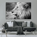 Lion Wall Art Canvas Print – Framed Majestic Wildlife by MyGreatCanvas | Canvas Wall Art Prints | Photo Prints & Wall Decor