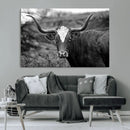 Western Home Wall Art Canvas Print, Framed Texas Longhorn by MyGreatCanvas | Canvas Wall Art Prints | Photo Prints & Wall Decor