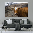 Texas Longhorn Canvas Wall Art - Longhorn Steer Canvas Wall