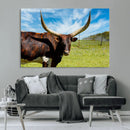 Longhorn and Cow Wall Art, Country Cow Wall Decor Canvas by MyGreatCanvas | Canvas Wall Art Prints | Photo Prints & Wall Decor