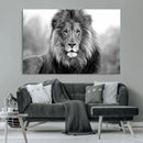 Black and White Lion Canvas Wall Art – Animal Print Artwork