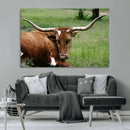 Longhorn Steer Canvas Wall Art – Rustic Nature Triptych