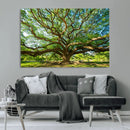 Majestic Oak Tree Wall Art – Serene Nature Canvas Print with