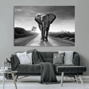 Black and White Elephant Wall Art Canvas Print