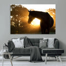 Horse at Sunset Wall Art Animal Canvas Print