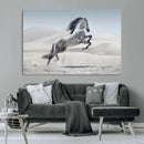Prancing Horse Desert Large Wall Art Canvas Print – Majestic