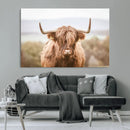 Scottish Serene Highland Cow Canvas Wall Art – Serene
