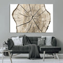 Abstract Wood Tree Ring Wall Art - Ready to Hang Minimalist