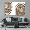 Wood Tree Ring Wall Art Canvas Prints, Tree Rings –