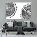 Abstract Large Tree Rings – Minimalist Black and White Wood