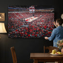 Louisville Cardinals Basketball Print Canvas - Louisville