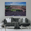 South Carolina Gamecocks Football Team Print - Columbia