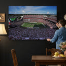 South Carolina Gamecocks Football Team Print - Columbia
