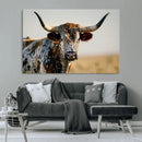 Texas Bull Longhorn Wall Art Canvas Print for Farm House