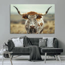 Texas Cow Longhorn Wall Art Canvas Print for Farm House Wall