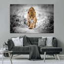 Jaguar Wall Art Canvas Print - Majestic Big Cat in Focused by MyGreatCanvas | Canvas Wall Art Prints | Photo Prints & Wall Decor