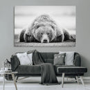Resting Grizzly Bear Wall Art Canvas Print – Majestic Lazy by MyGreatCanvas | Canvas Wall Art Prints | Photo Prints & Wall Decor