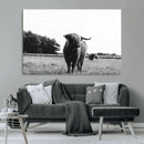 Black and White Highland Cow Wall Art Canvas Print | Rustic