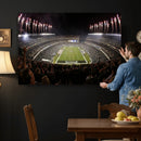Eagles Field Stadium Wall Art - Philadelphia Eagles Football