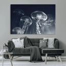 Jellyfish Wall Art Canvas Print, Modern Abstract Jellyfish