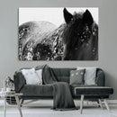 Black Horse in Snow Canvas Print | Winter Horse Wall Art |