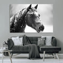 Horse Canvas Print - Winter Horse Snow Wall Art Canvas Print